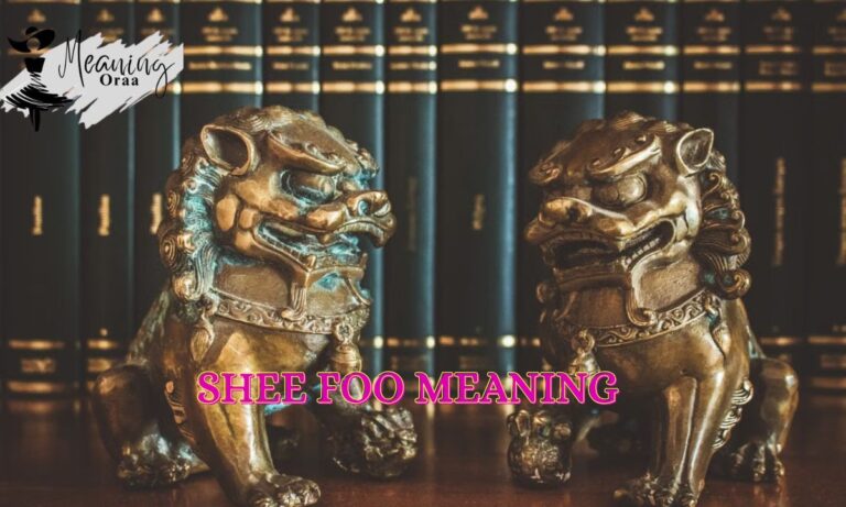 Shee Foo Meaning Arabic Definition, Slang Use & Netflix “Mo” Explained