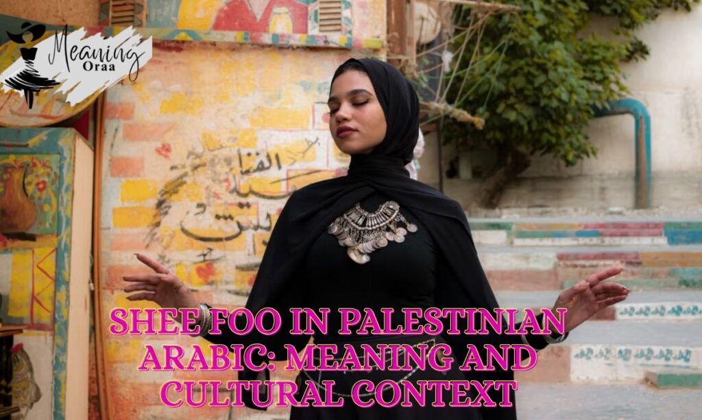 Shee Foo in Palestinian Arabic: Meaning and Cultural Context