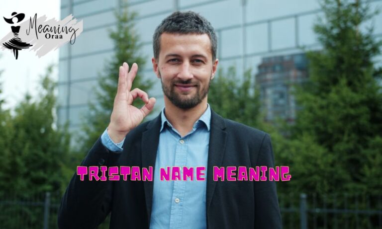 Tristan Name Meaning, Origin, History & Popularity