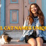 555+ Girl Cat Names Unique Cute, Rare & Beautiful Ideas