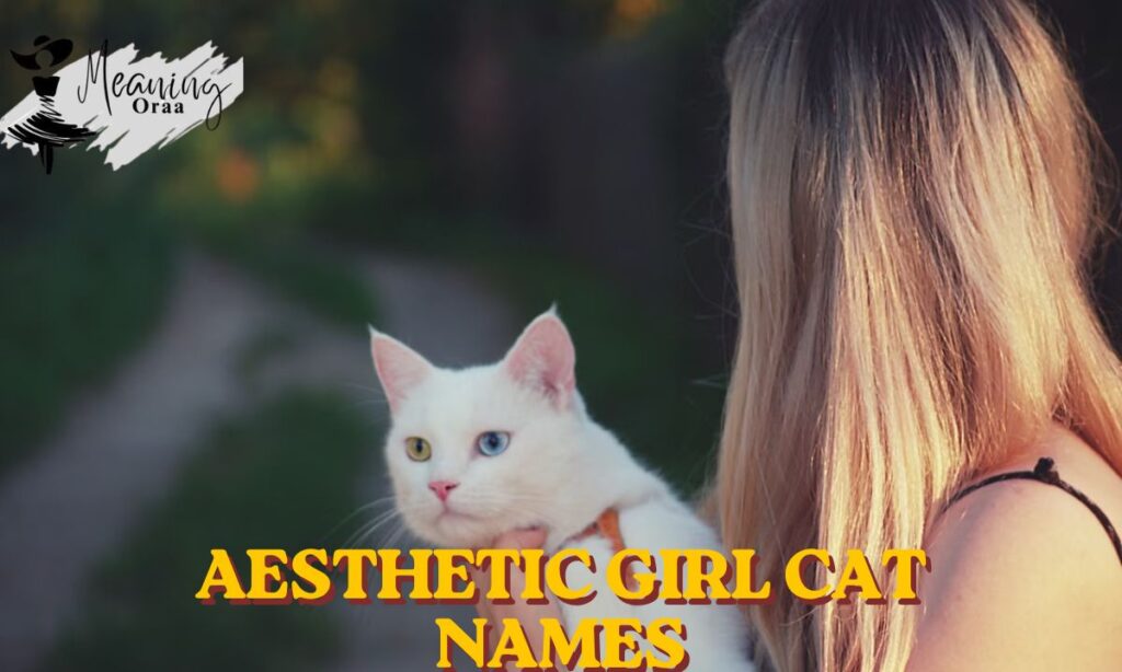 Aesthetic Girl Cat Names