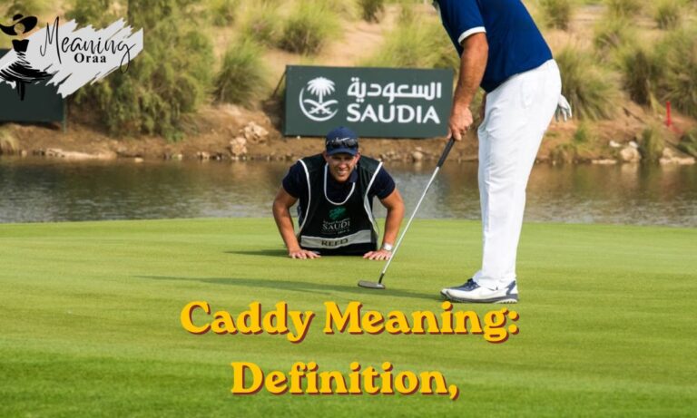 Caddy Meaning: Definition, Uses, and Examples Explained