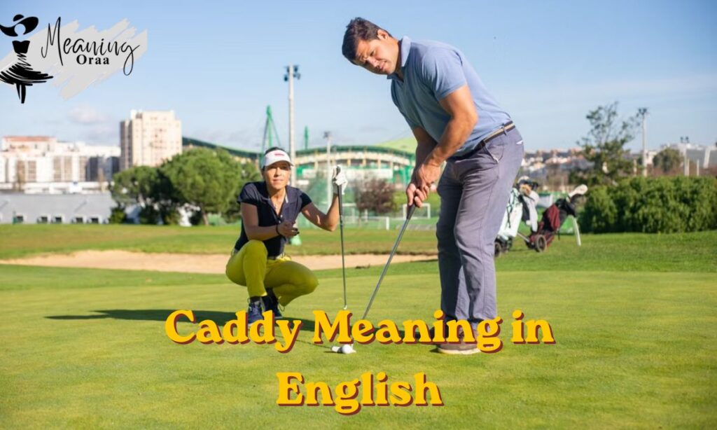 Caddy Meaning in English