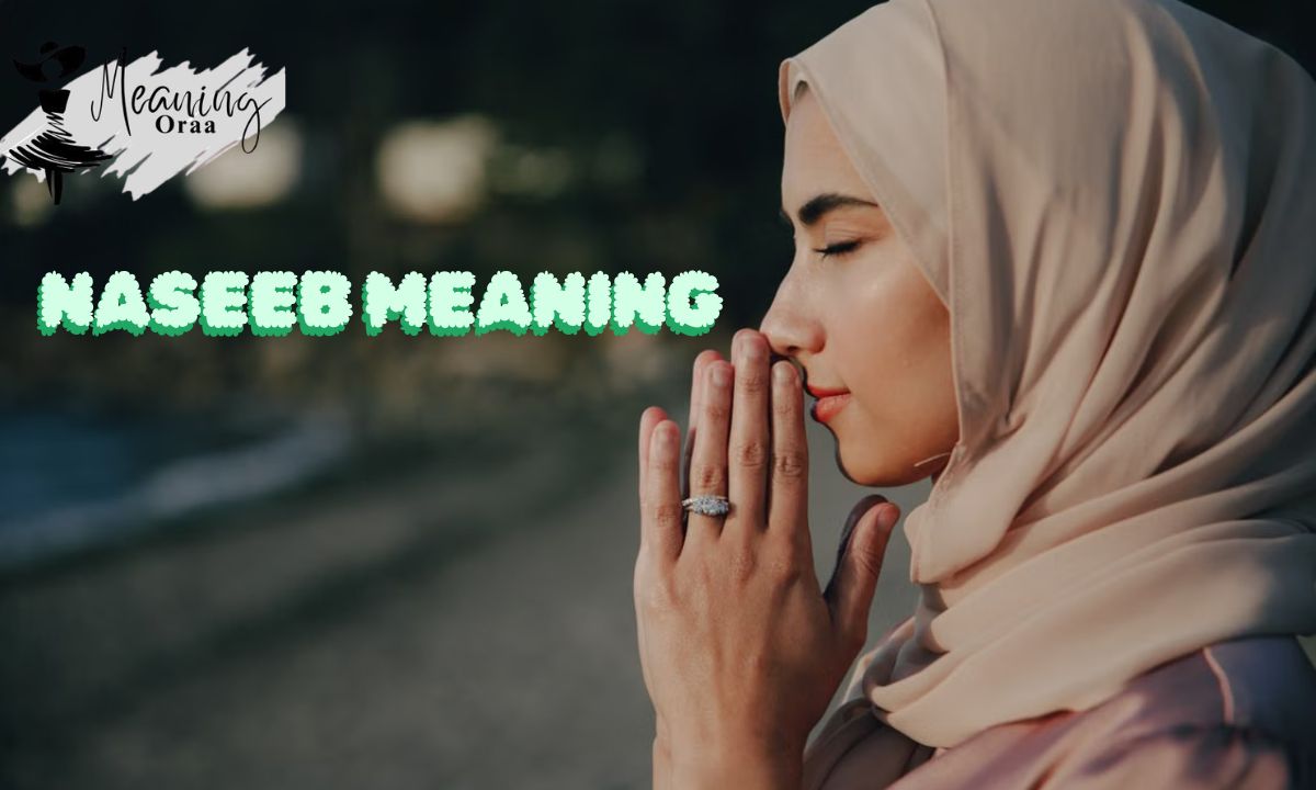 Naseeb Meaning in Islam, Arabic, English, Urdu & Hindi Explained