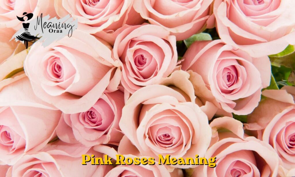 Pink Roses Meaning