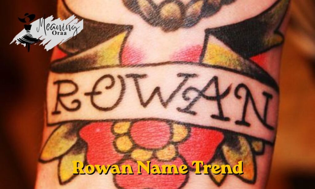 Rowan Name Trend