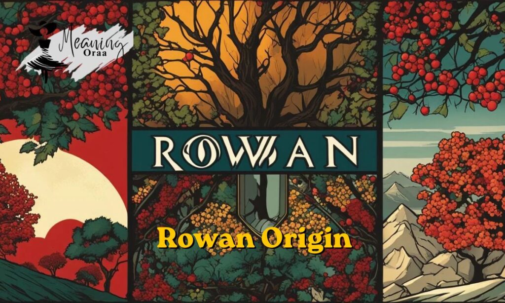 Rowan Origin