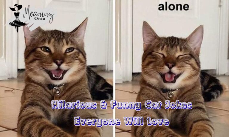 Hilarious & Funny Cat Jokes Everyone Will Love