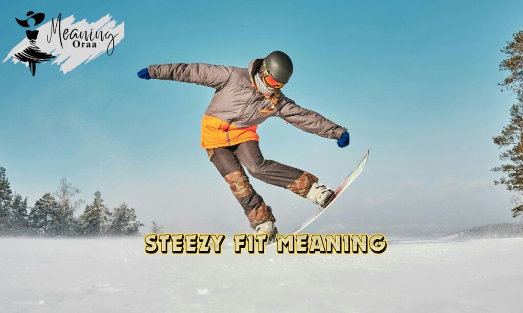 Steezy Fit Meaning