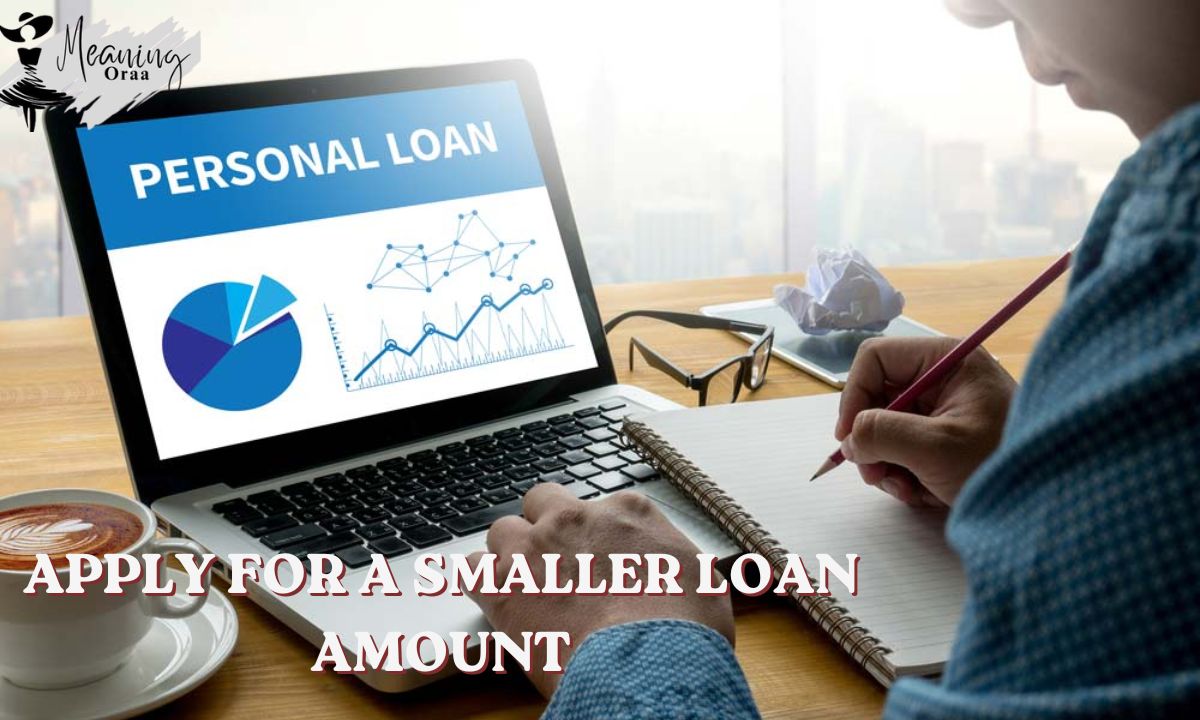 Apply for a Smaller Loan Amount